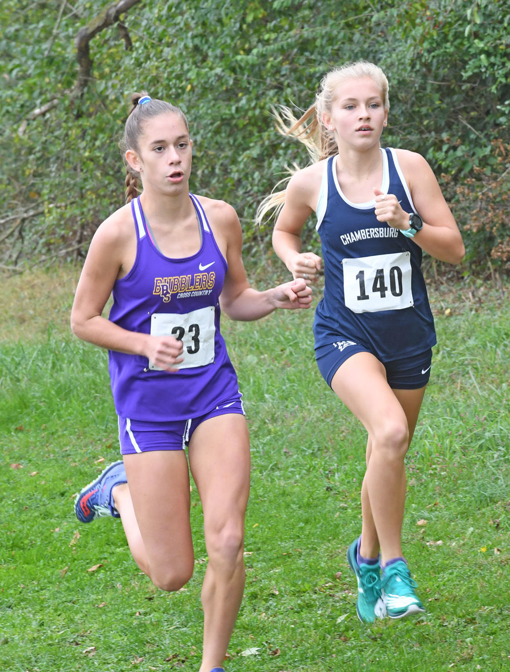 Mid Penn Cross Country Championships